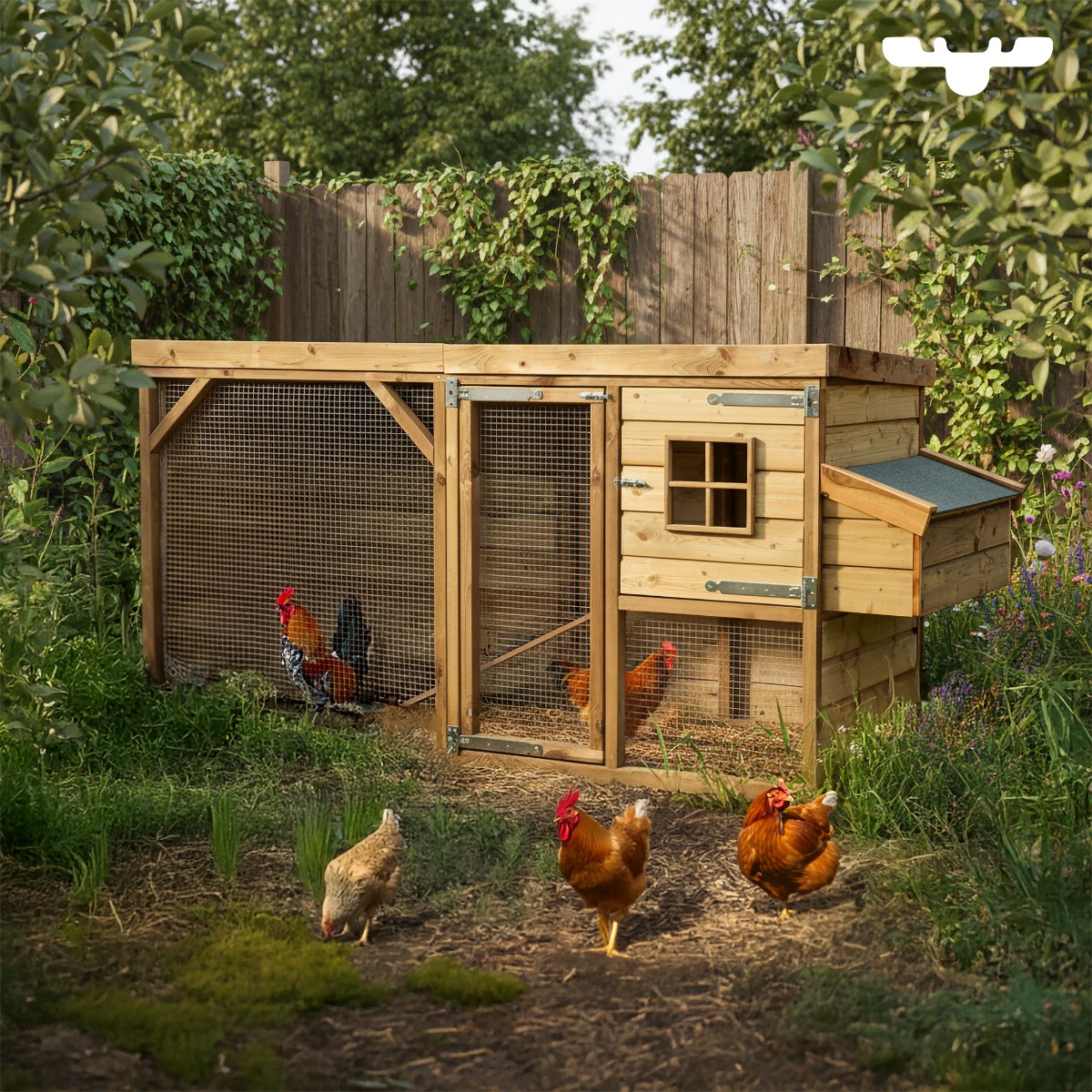 Hühnerhaus CosyChicken Cottage 618003_k